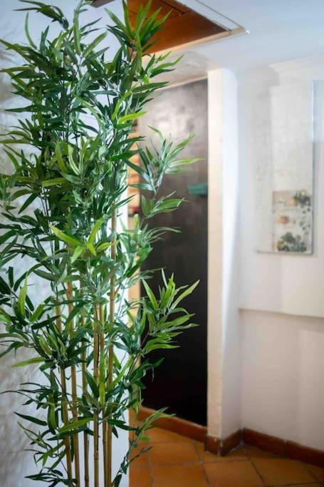 Apartamento Via Dei Cestari Loft Roma Exterior foto